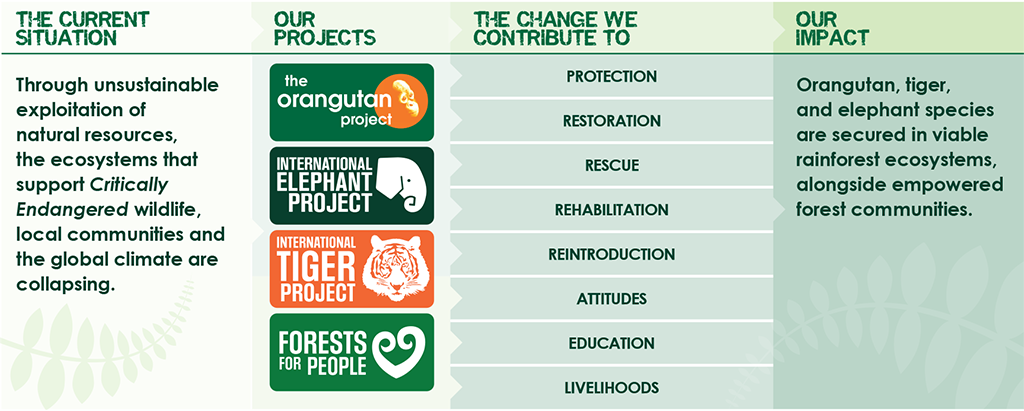 Theory of Change