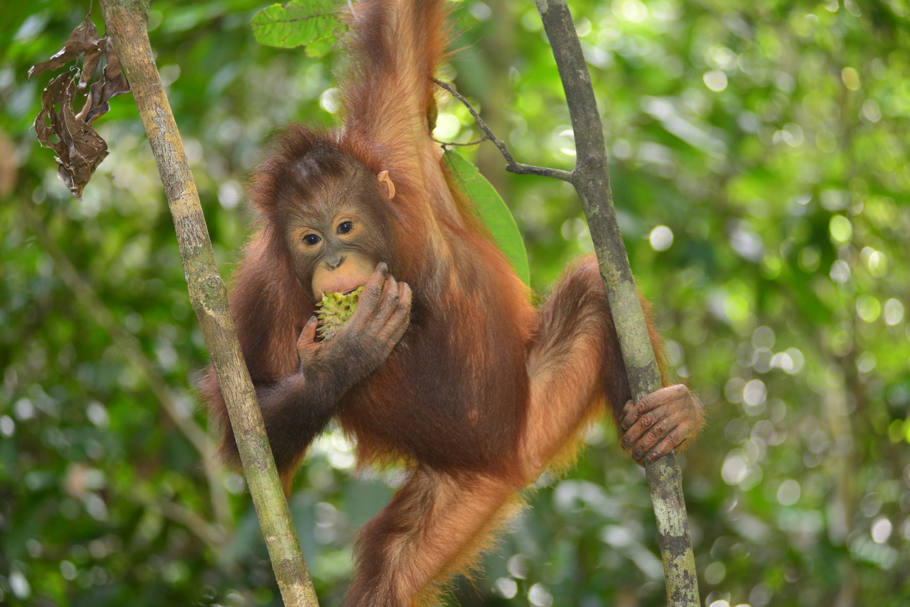 Jungle School: a life-changing pathway to freedom